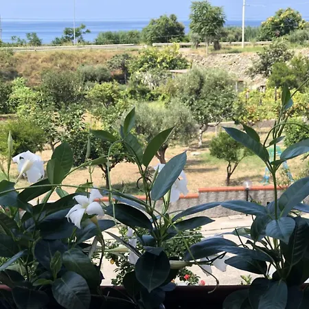 Bed & Breakfast Adele